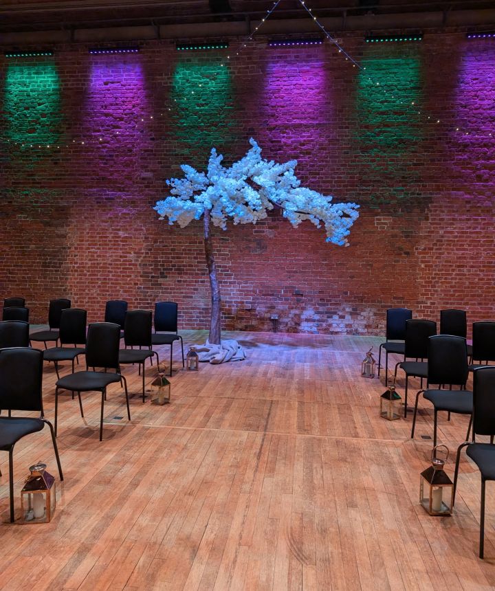 A white blossom tree lit against a brick wall with green and purple uplighting